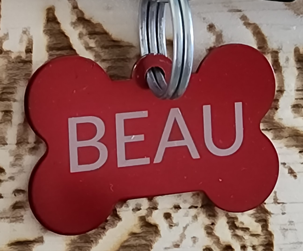 Customized Pet Tag - bone shaped